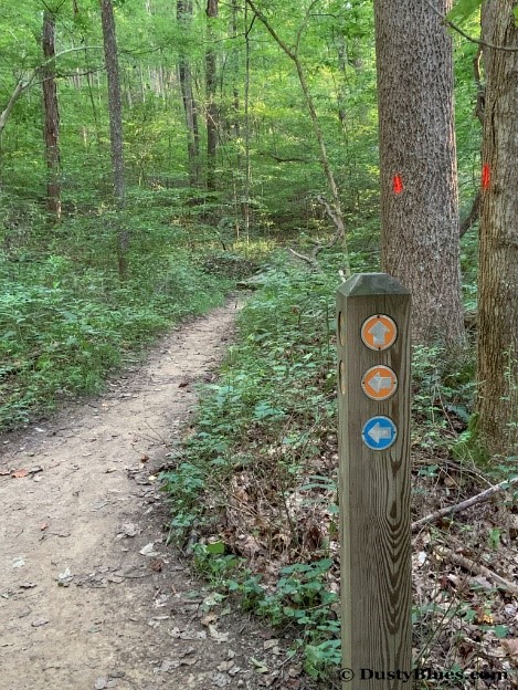 The Return Trail with sign post for the various trails through here