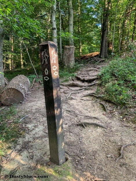 The Return Trail with sign post for the various trails through here