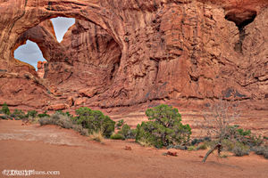 Double Arch print