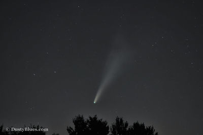 NeoWise Comet