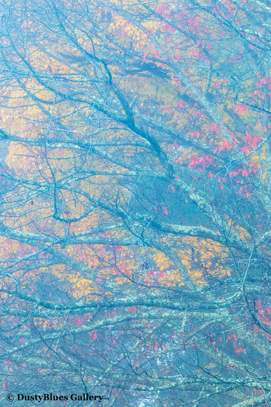 Fall Foggy Colors_35 print