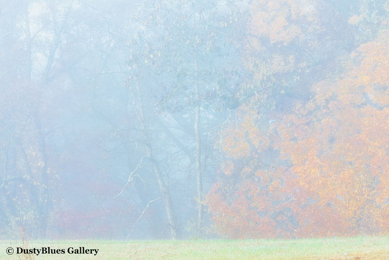 Fall Foggy Colors_42 print