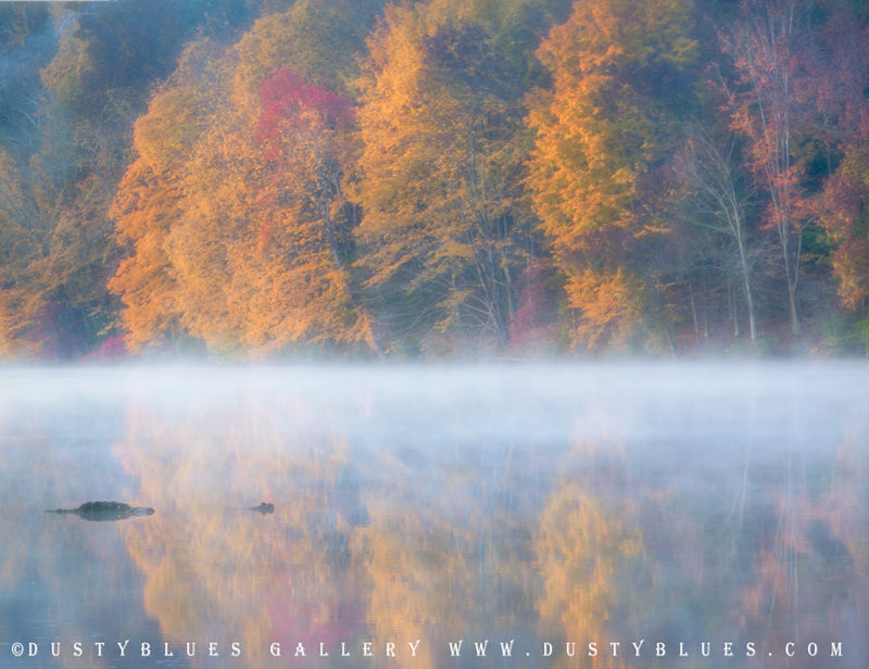 Lake Logan Fall Reflection print