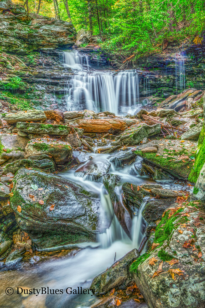 Ricketts Glen Park has 22 named waterfalls in a Y shaped Gorge . The hiking trail is a strenuous 2.5 miles but an amazing journey...