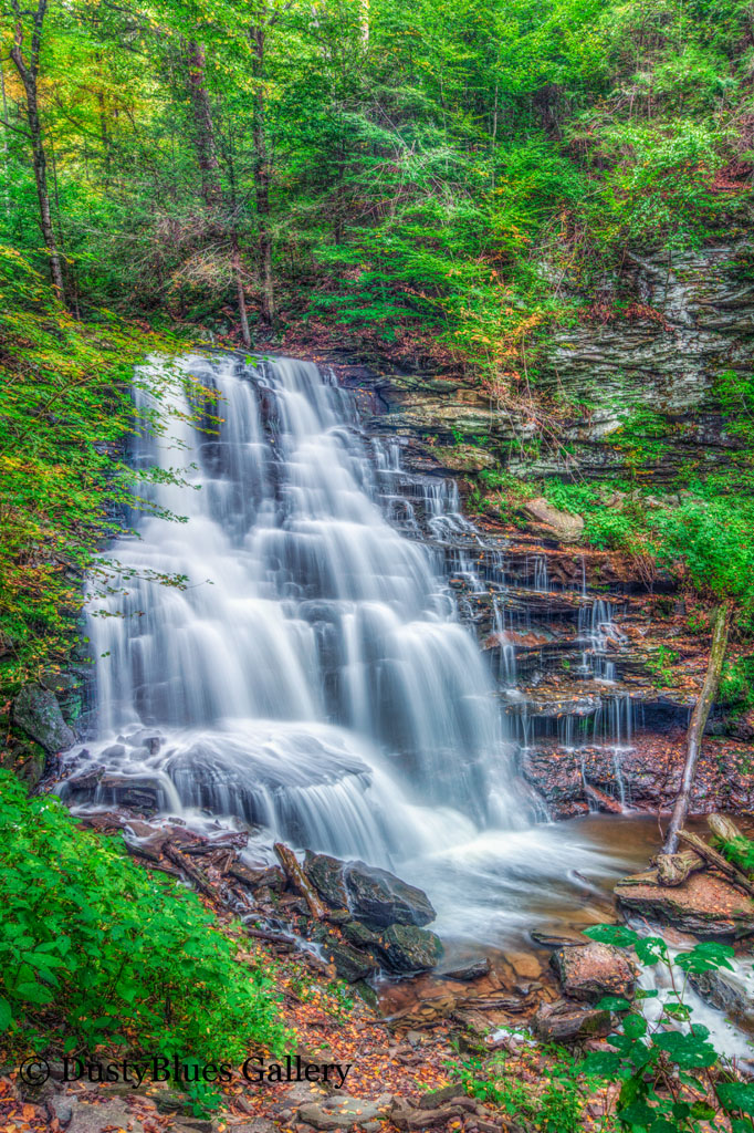 Ricketts Glen Park has 22 named waterfalls in a Y shaped Gorge . The hiking trail is a strenuous 2.5 miles but an amazing journey...