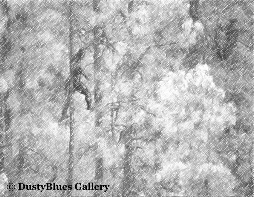 Hocking Hills Fine Art, Hocking Hills Photography, DustyBlues Photography, DustyBlues LLC, Old Mans Cave, Logan, Ohio, Hocking...